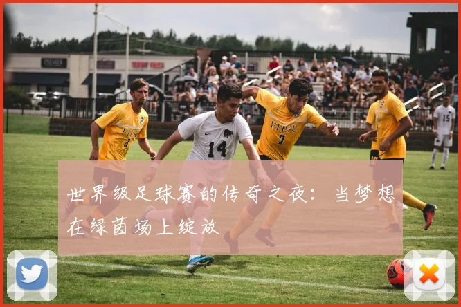 世界级足球赛的传奇之夜:当梦想在绿茵场上绽放