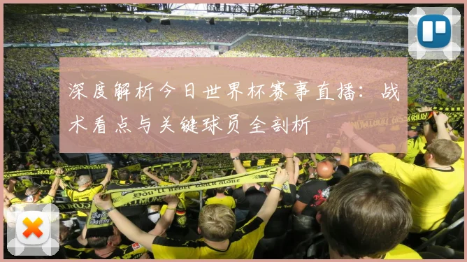 深度解析今日世界杯赛事直播：战术看点与关键球员全剖析