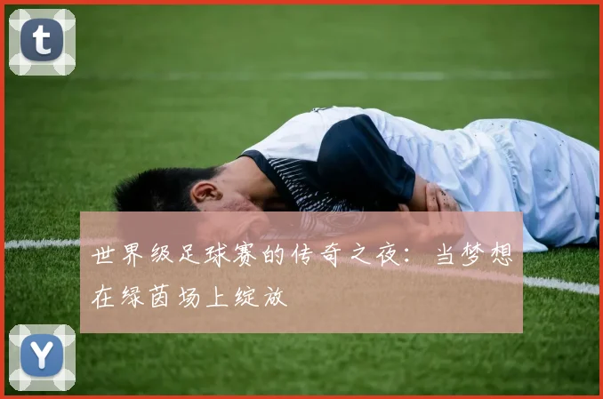 世界级足球赛的传奇之夜:当梦想在绿茵场上绽放