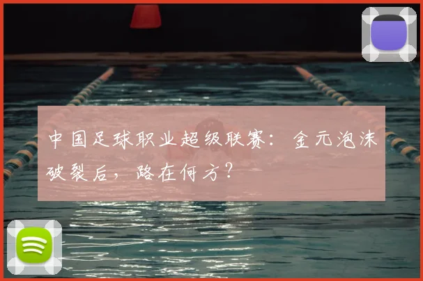 中国足球职业超级联赛:金元泡沫破裂后,路在何方?