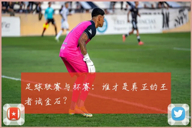 足球联赛与杯赛:谁才是真正的王者试金石?